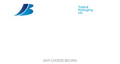 Desktop Screenshot of belvika.com